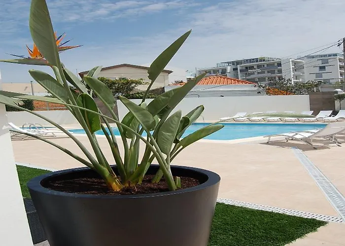 Mare Appartement Nazaré