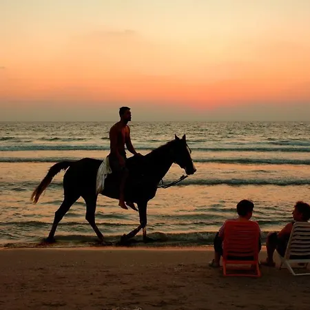 Mare Apartament Nazaré