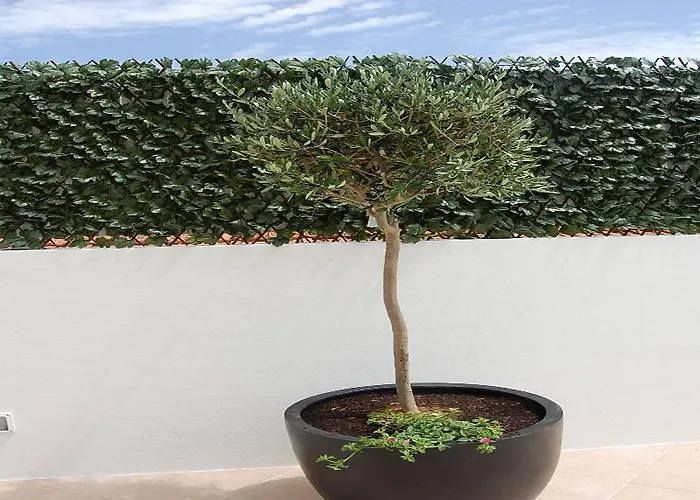 公寓 维拉斯马雷公寓